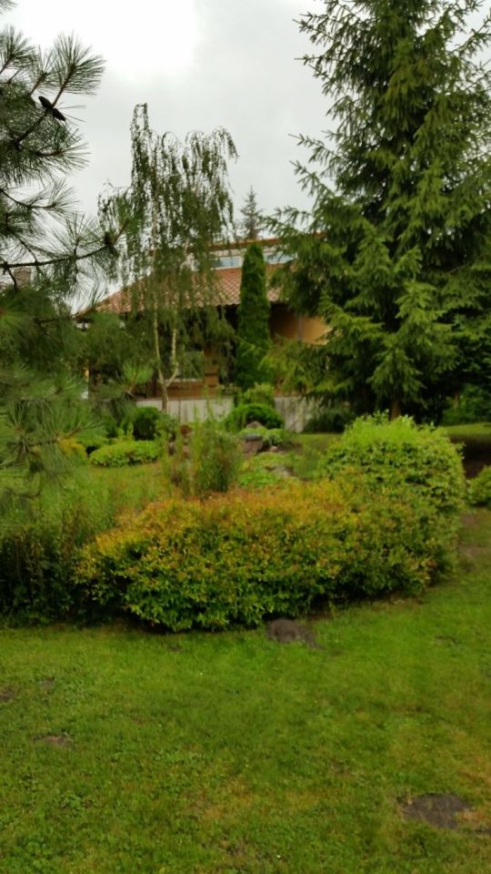 Działka rod Wójcin. Zdjęcie 8