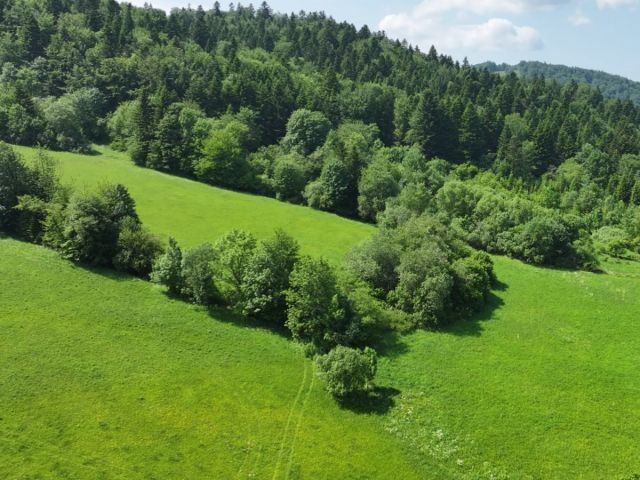 Działka rolna Baligród. Zdjęcie 5