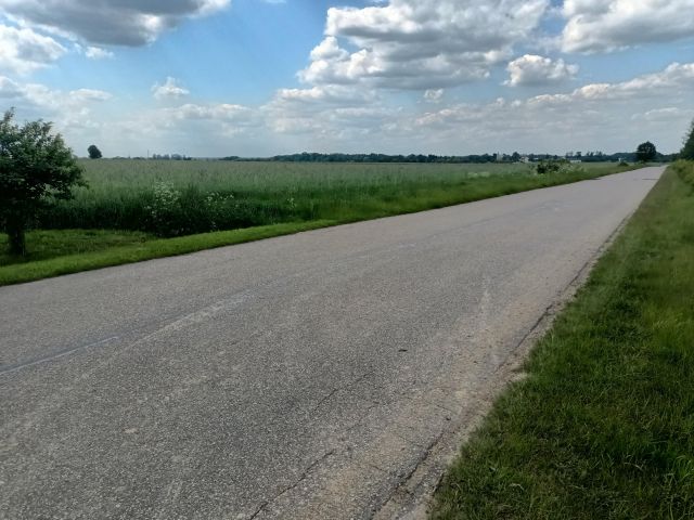 Działka rolna Ozorów. Zdjęcie 1