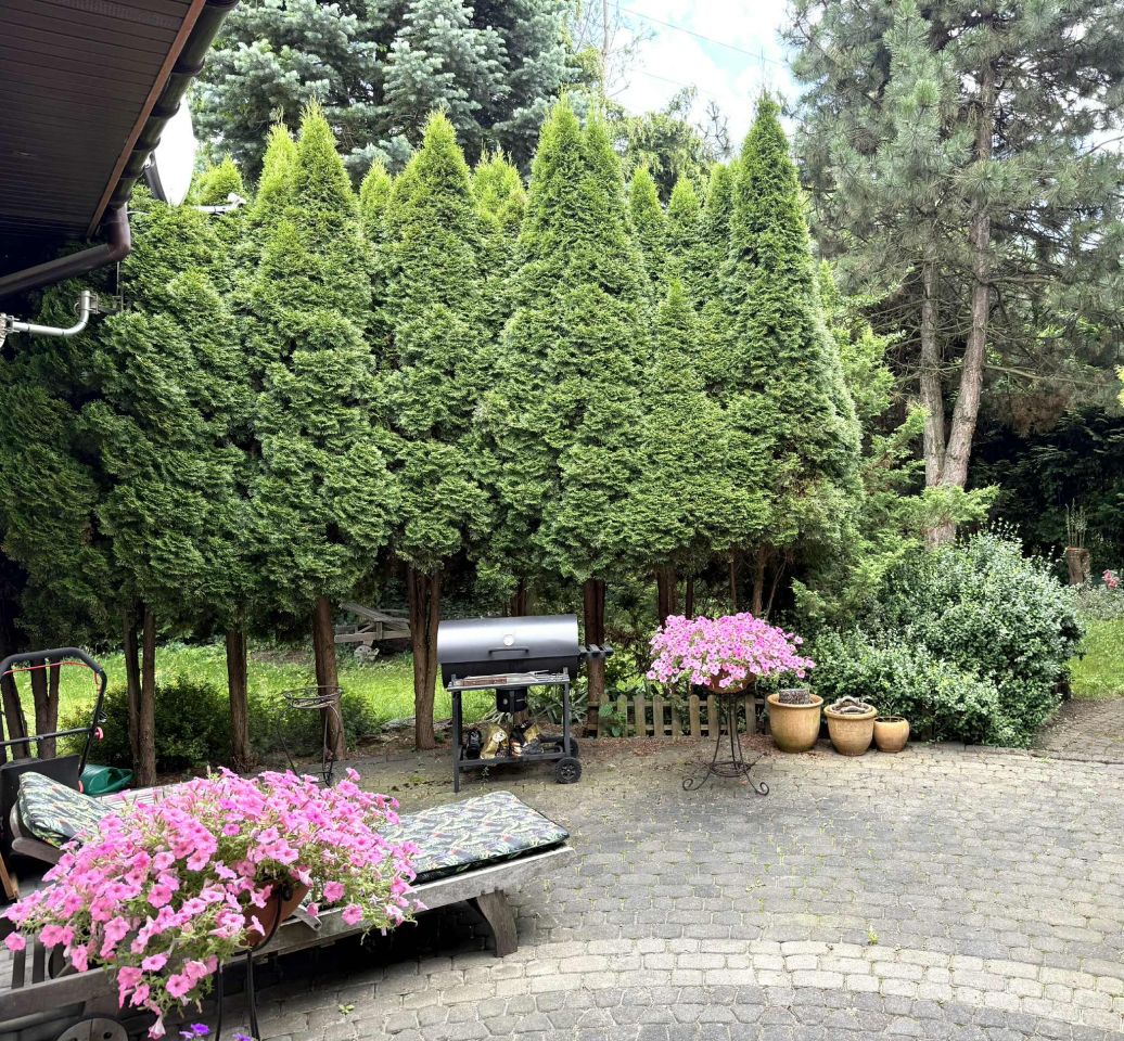 dom wolnostojący, 6 pokoi Słupno, ul. Stefana Żeromskiego. Zdjęcie 7