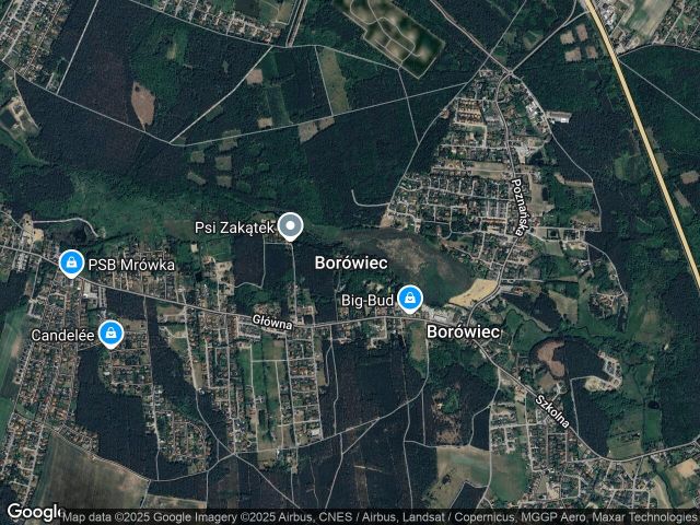 dom wolnostojący, 4 pokoje Borówiec. Zdjęcie 1