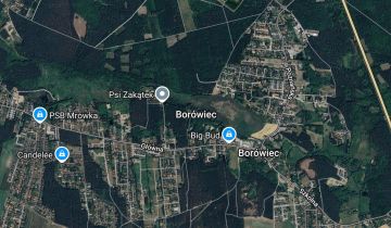 dom wolnostojący, 4 pokoje Borówiec