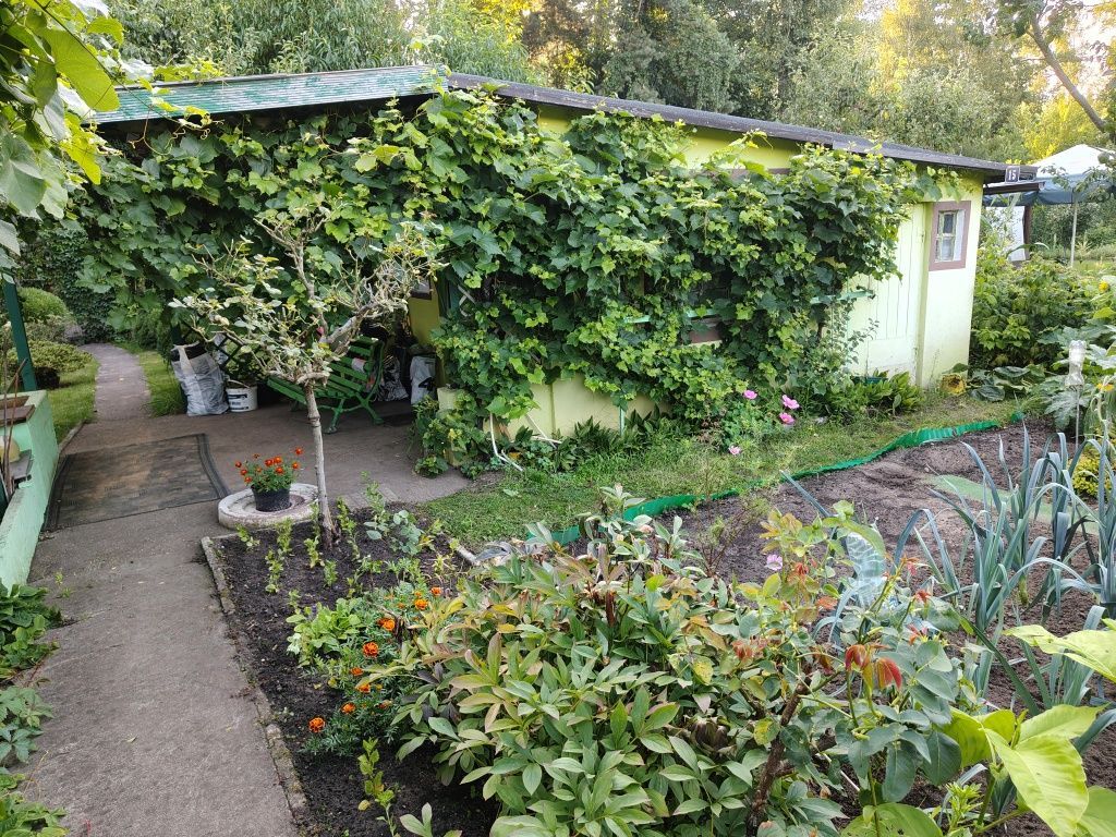 Działka rod Nowa Sól. Zdjęcie 8