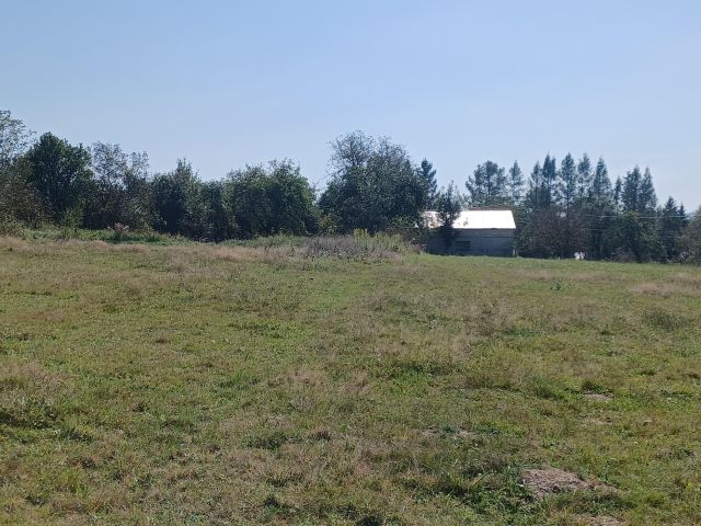 Działka rolno-budowlana Korczyna. Zdjęcie 6