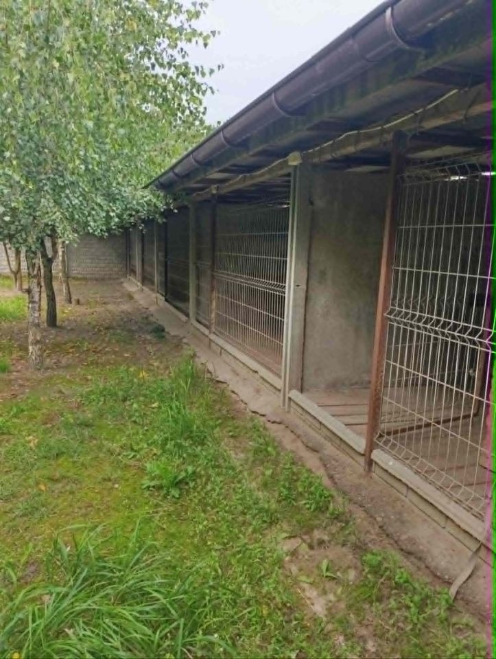 dom wolnostojący, 3 pokoje Mięcierzyn. Zdjęcie 15