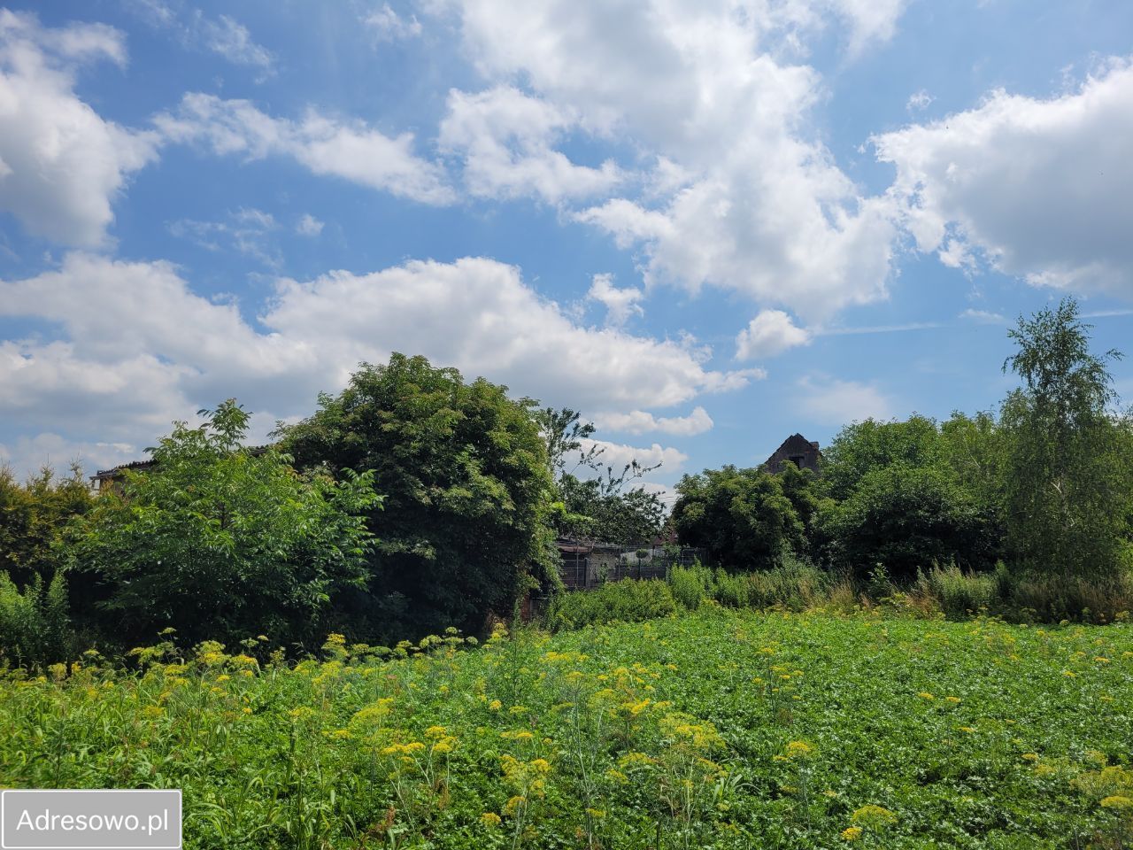 Działka budowlana Racibórz, ul. Rzeczna. Zdjęcie 2