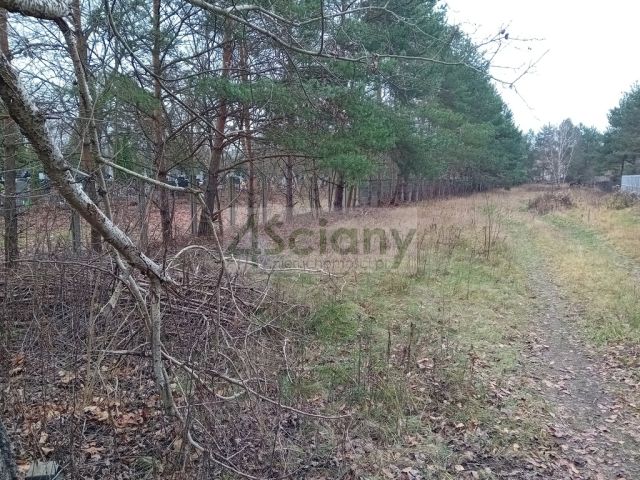 Działka budowlana Chotomów. Zdjęcie 6