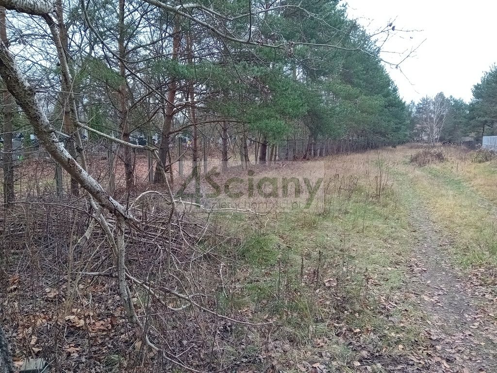 Działka budowlana Chotomów. Zdjęcie 6