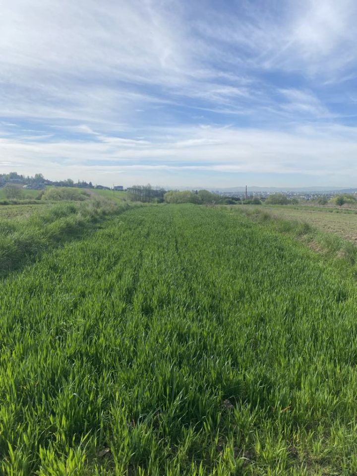 Działka rolna Zielonki, ul. Na Ogrody. Zdjęcie 2