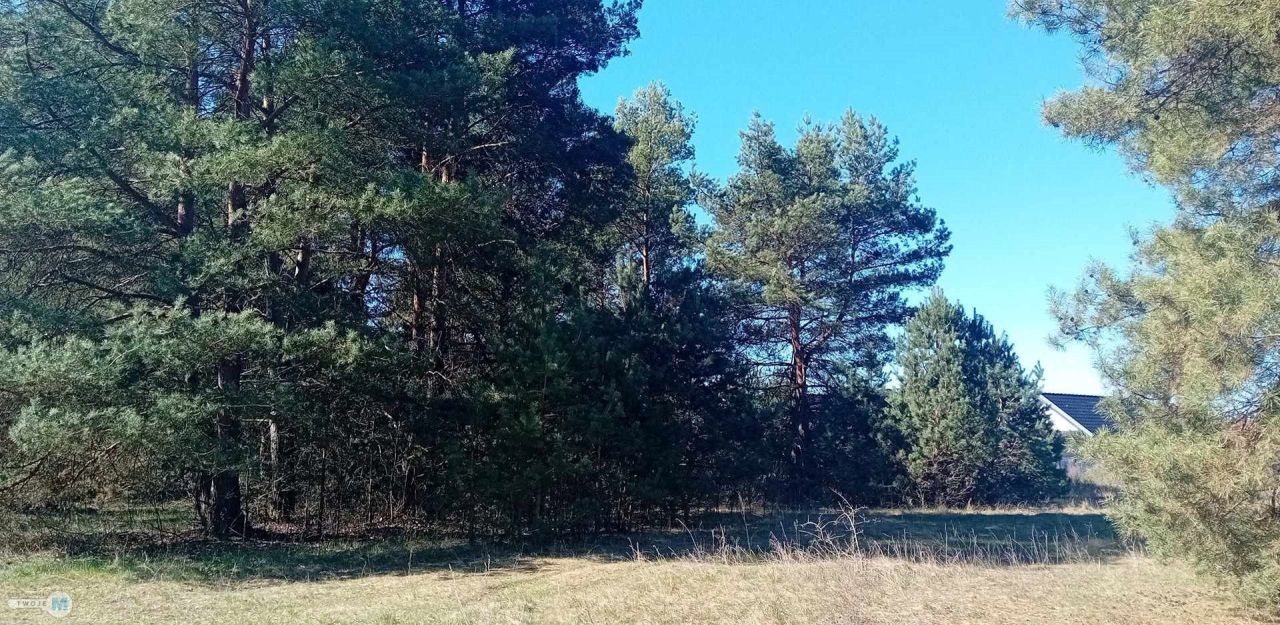 Działka budowlana Morawica. Zdjęcie 3