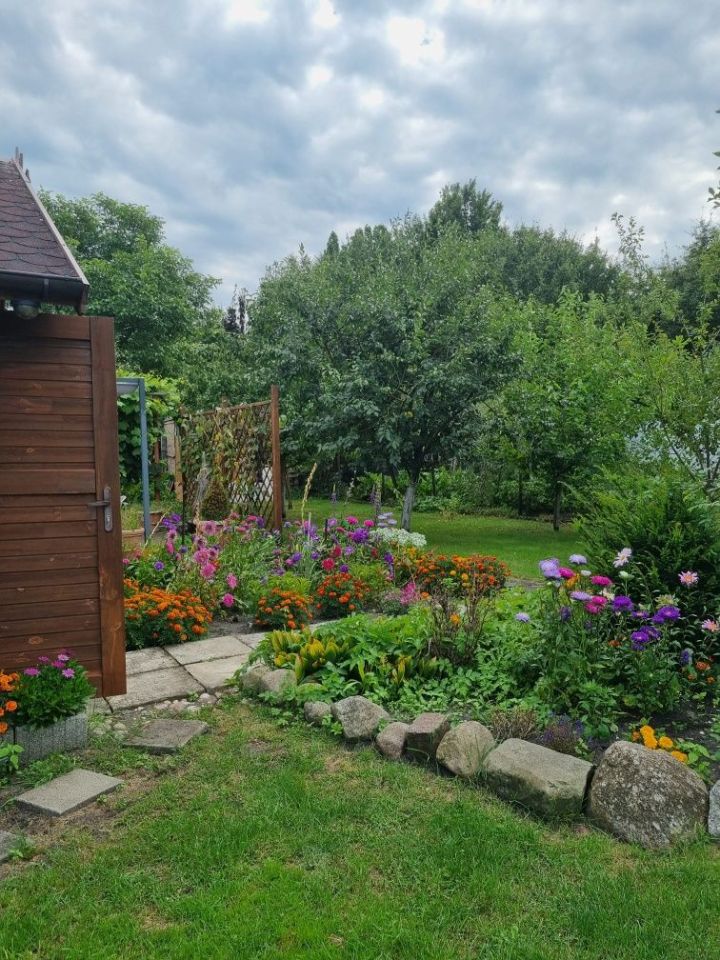 Działka rod Szczecin Wielgowo. Zdjęcie 3