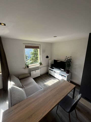 Mieszkanie 1-pokojowe Dąbrowa Górnicza, ul. Elizy Orzeszkowej. Zdjęcie 1