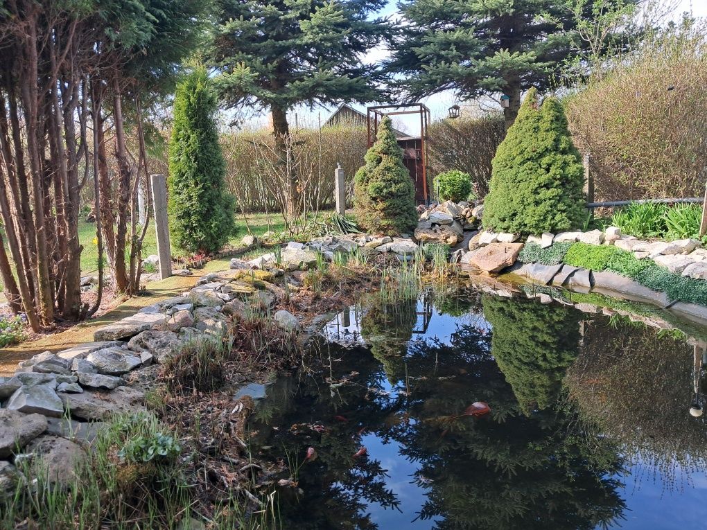 Działka rod Krasnystaw. Zdjęcie 3