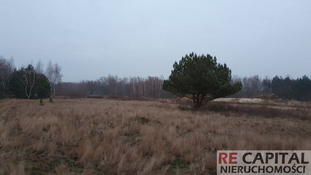 Działka siedliskowa Borzęcin Duży. Zdjęcie 5