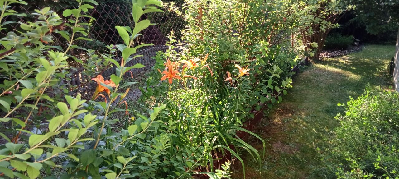 Działka budowlana Kaletnik, ul. Kościelna. Zdjęcie 10