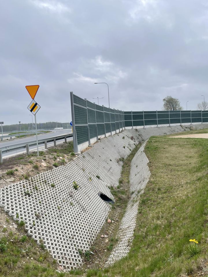 Działka rolna Nowa Wieś Ełcka. Zdjęcie 4