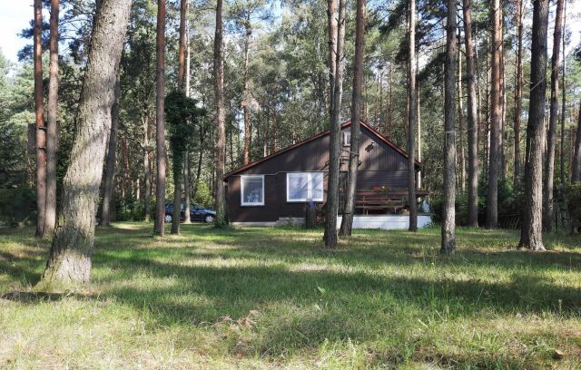 Działka budowlana Włodzimierz, ul. Sosnowa. Zdjęcie 1