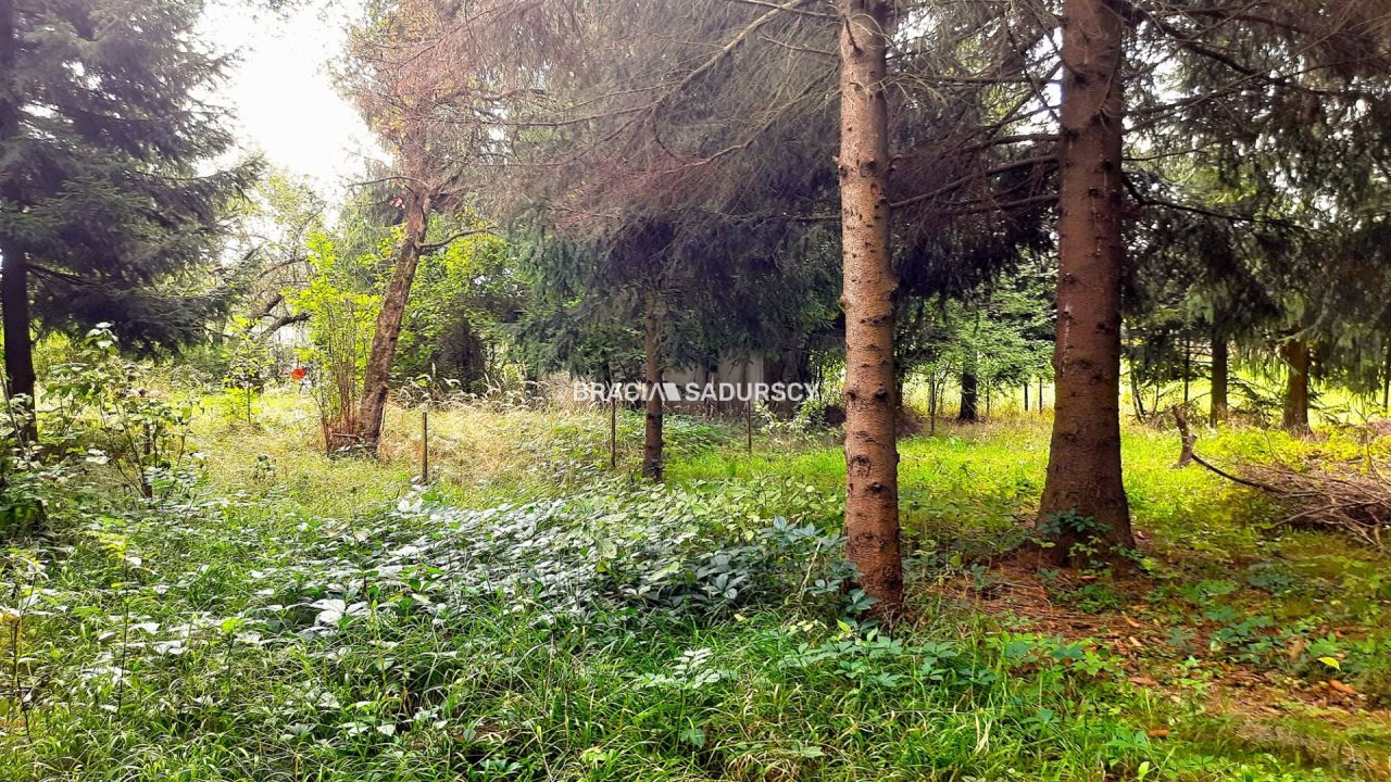 Działka rekreacyjna Lusina, ul. Przymiarki. Zdjęcie 12