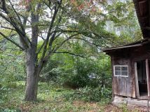 Działka rolno-budowlana Gruszczyce. Zdjęcie 2