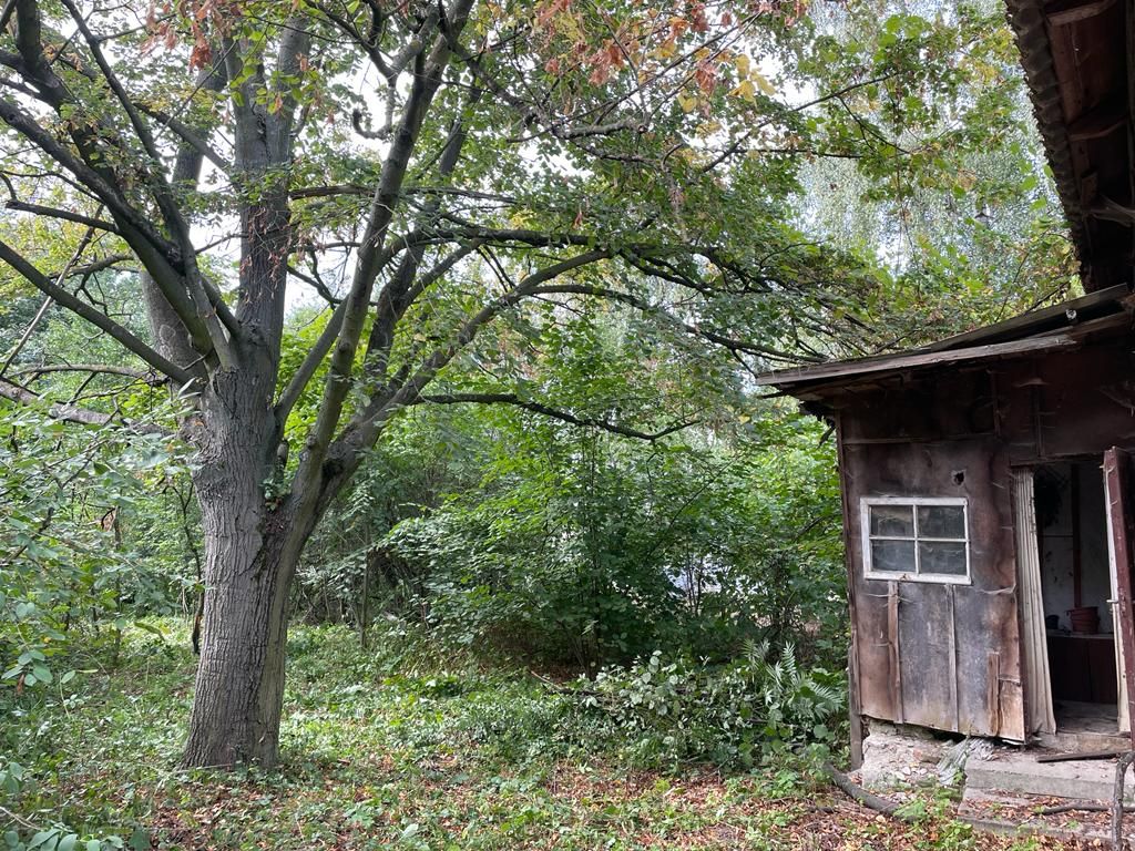 Działka rolno-budowlana Gruszczyce. Zdjęcie 3