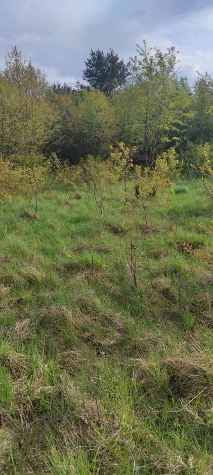 Działka budowlana Nowe Pieścirogi, ul. Onyksowa. Zdjęcie 6