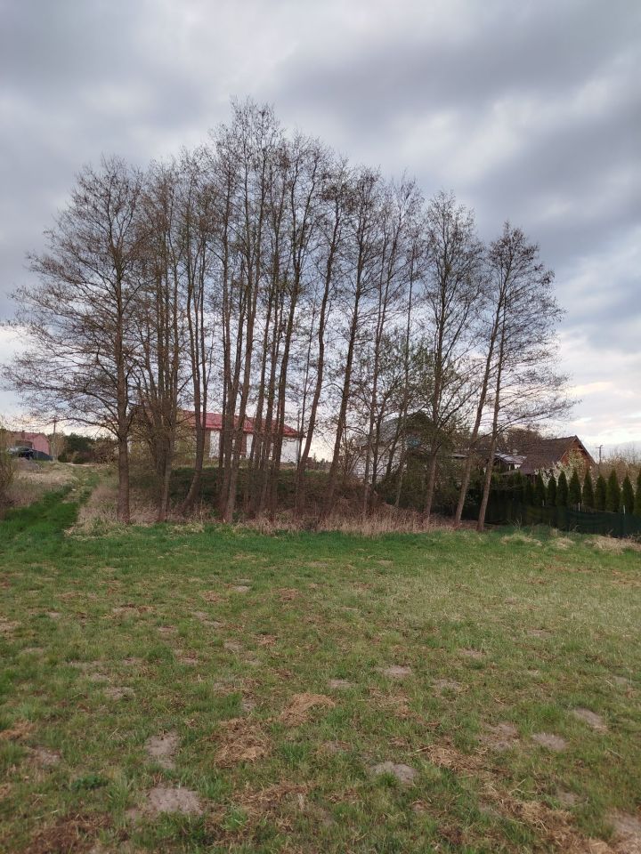 Działka budowlana Chojno-Wieś. Zdjęcie 2