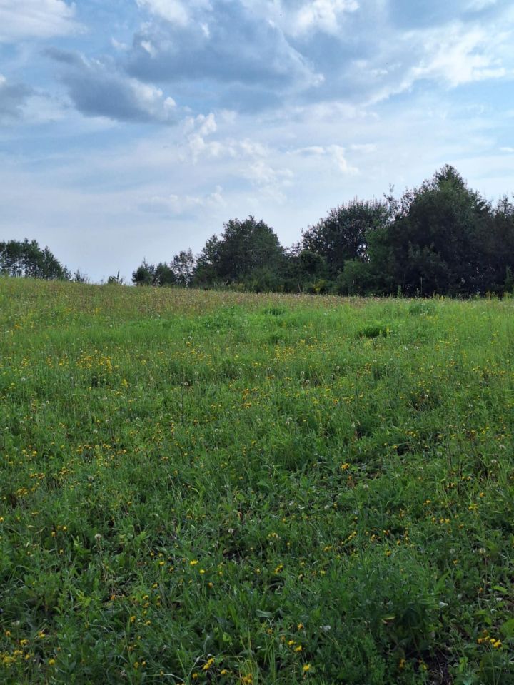 Działka rolna Golcowa. Zdjęcie 8