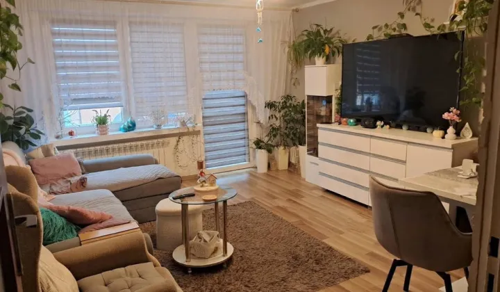 Mieszkanie 3-pokojowe Ostrów Mazowiecka, ul. Elizy Orzeszkowej