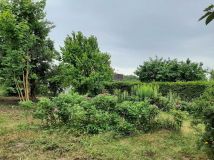 Działka rod Piła. Zdjęcie 1