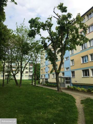 Mieszkanie 2-pokojowe Łódź Dąbrowa, ul. Wincentego Kadłubka. Zdjęcie 1