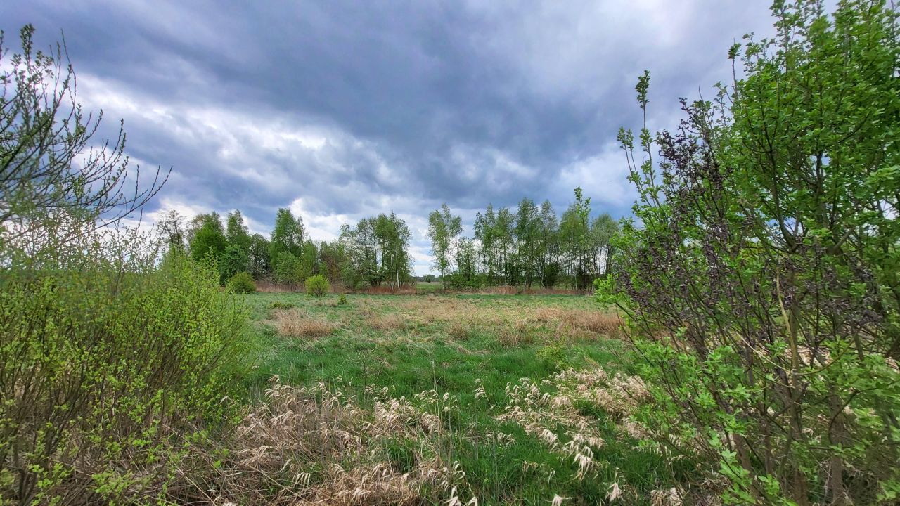 Działka budowlana Górzyn. Zdjęcie 10