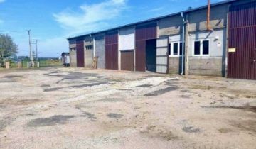 Hala/magazyn Gniewkowo