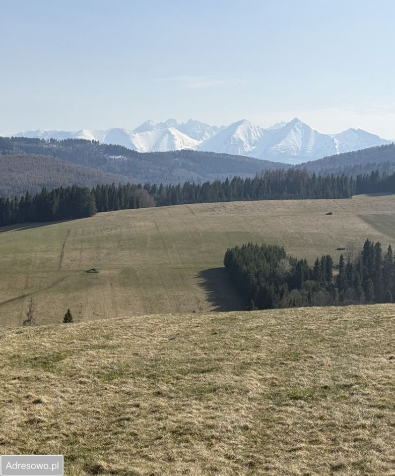 Działka rolna Łapsze Niżne. Zdjęcie 4