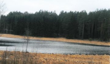 Działka budowlana Szeroki Bór