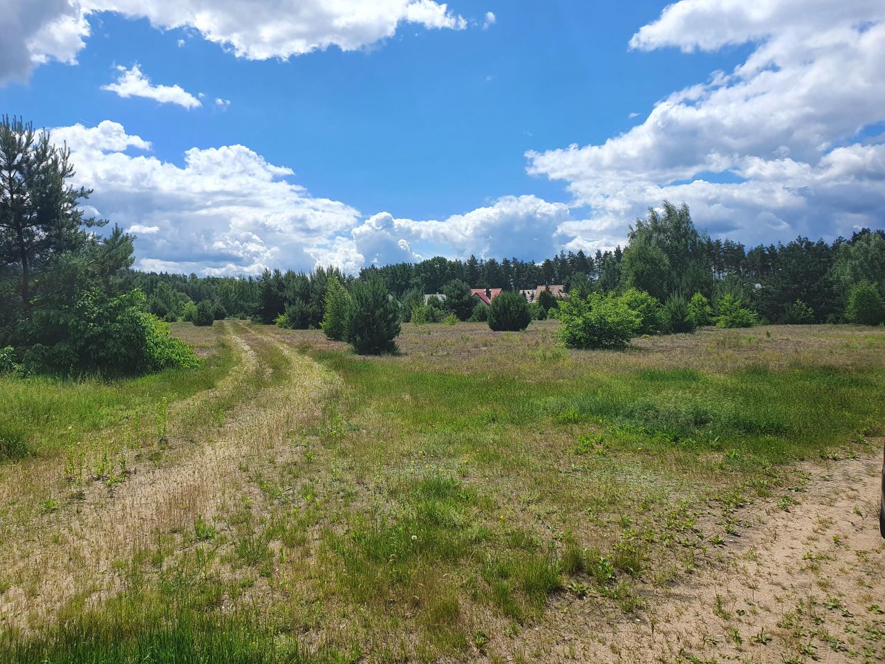 Działka budowlana Kępa Niemojewska. Zdjęcie 4
