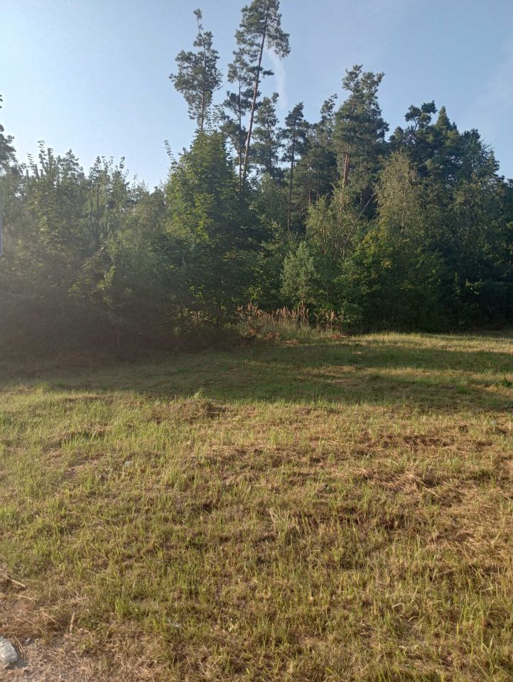 Działka rolno-budowlana Zajączków. Zdjęcie 7