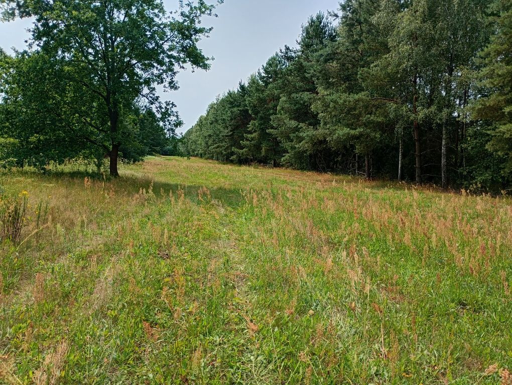 Działka budowlana Remiszew. Zdjęcie 2