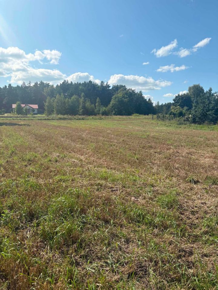 Działka budowlana Stary Sumin. Zdjęcie 5