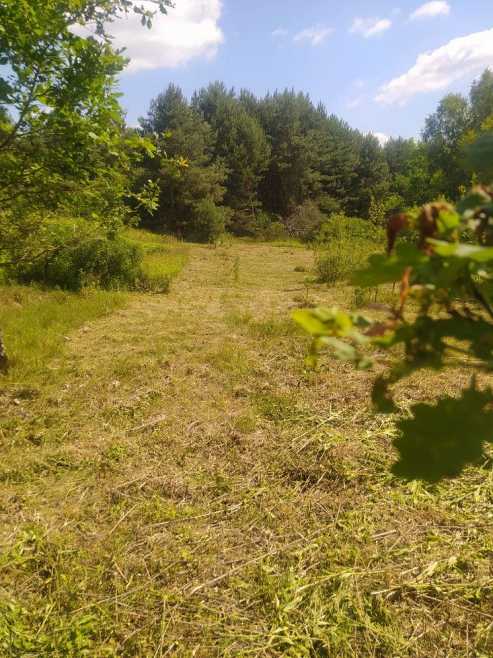 Działka budowlana Janopol. Zdjęcie 2