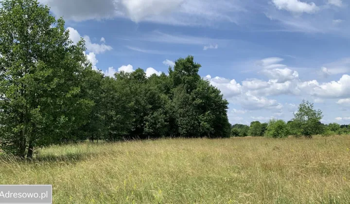 Działka budowlana Arciechów, ul. Dąbrowiecka