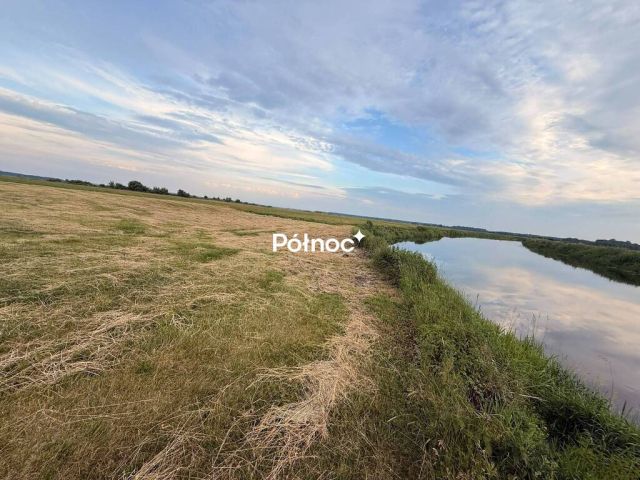Działka rolna Krzewo. Zdjęcie 16