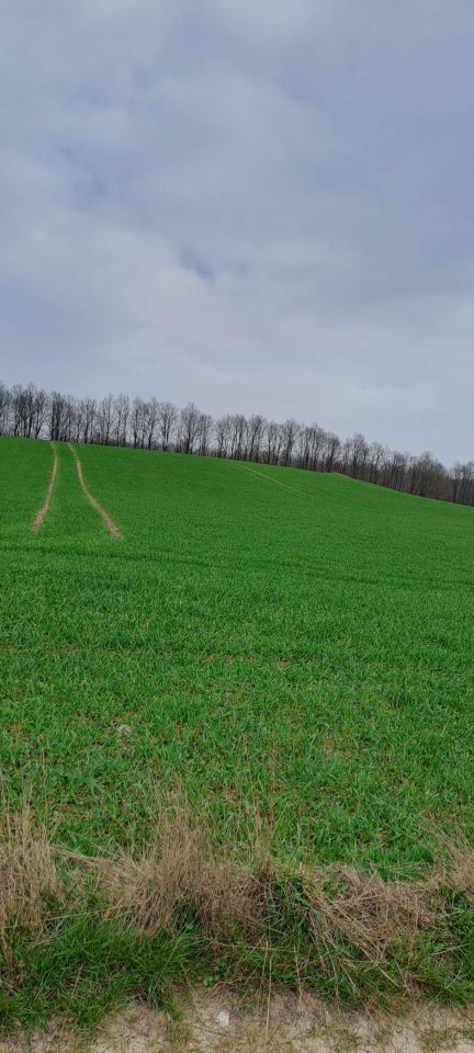 Działka budowlana Karbowo, ul. Myśliwska