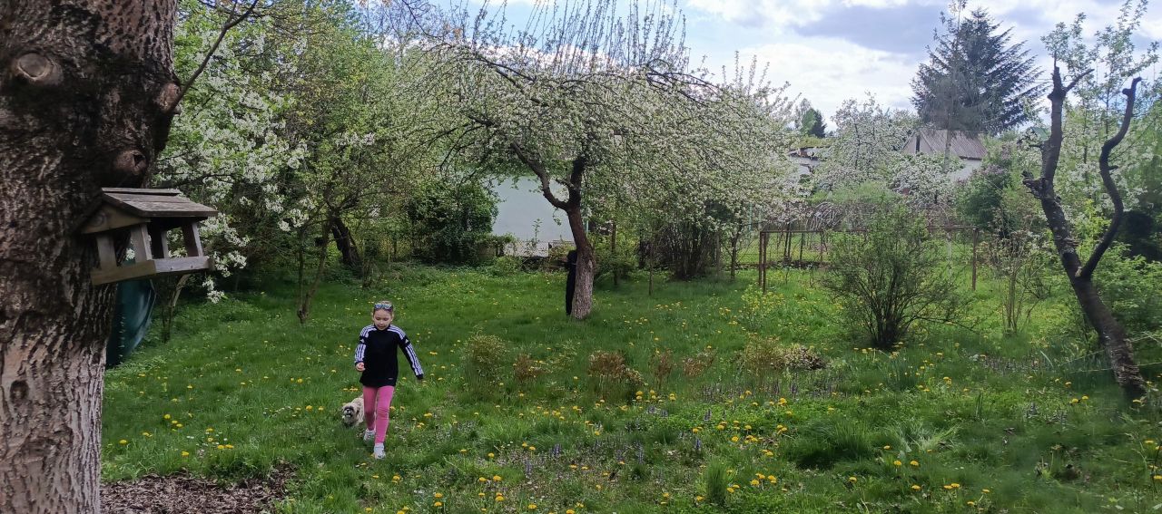 Działka rod Łapczyca. Zdjęcie 7