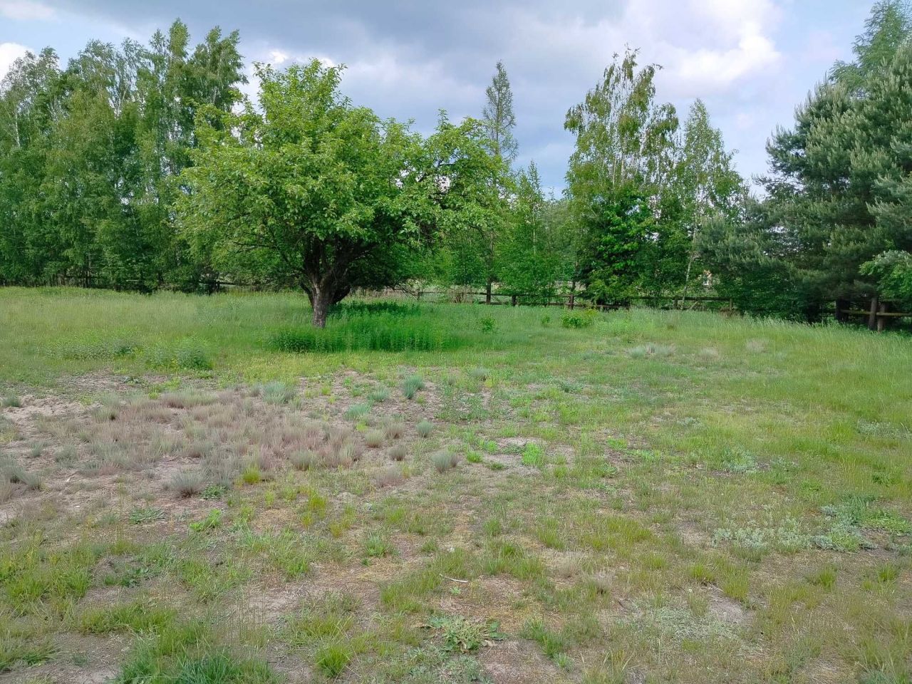 Działka budowlana Wólka