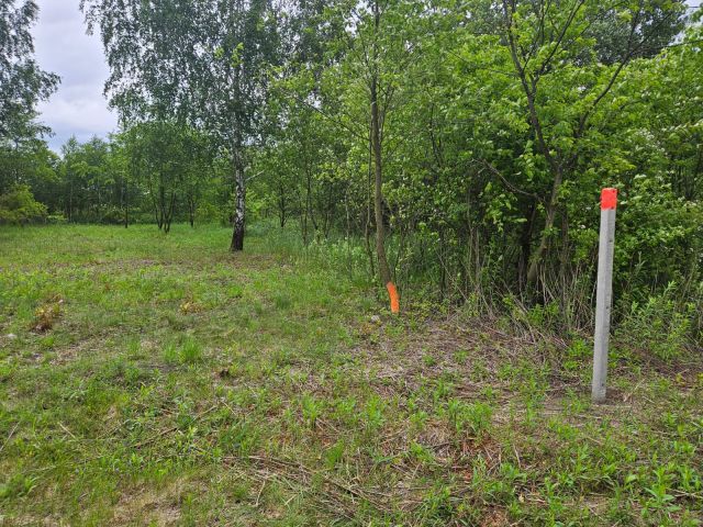 Działka rolna Gołków, ul. Dużego Stawu. Zdjęcie 1