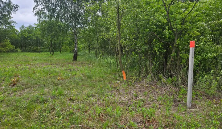 Działka rolna Gołków, ul. Dużego Stawu