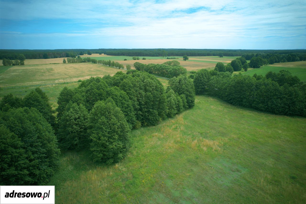 Działka budowlana Gościnowo. Zdjęcie 9