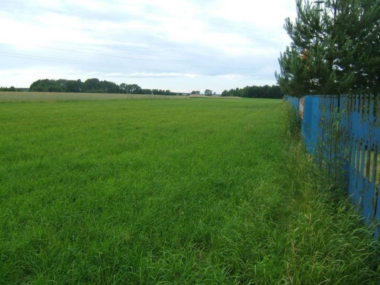 Działka inwestycyjna Maków Mazowiecki. Zdjęcie 2