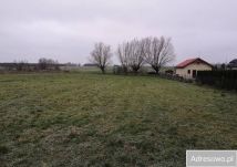 Działka rolno-budowlana Żelechów, ul. Lelewela. Zdjęcie 3