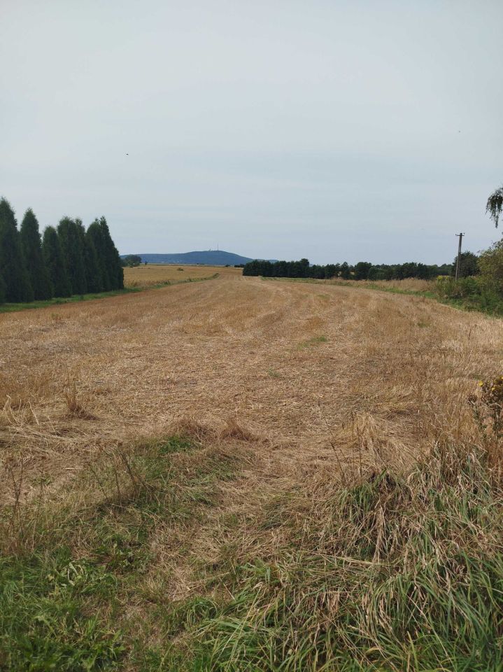 Działka rolno-budowlana Sarnia Zwola. Zdjęcie 2